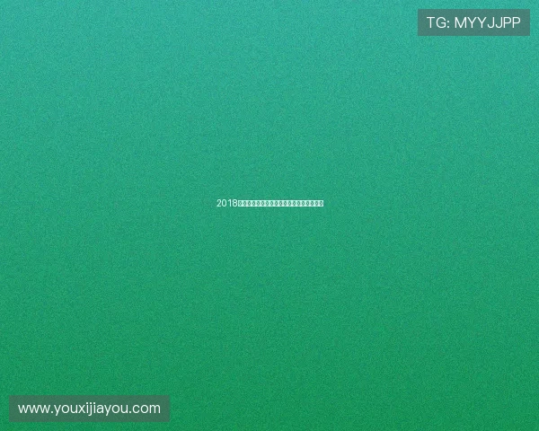 2018年波尔多对阵尼斯精彩回顾与赛季表现分析